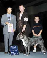 Show Photos