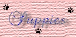 Puppies Pictures