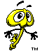 Aqui