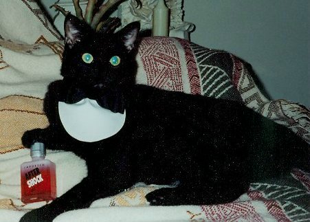 007 Buddie