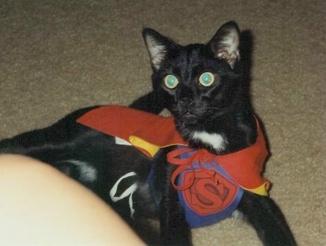 Super Buddie