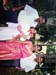 cni_fly_binshi