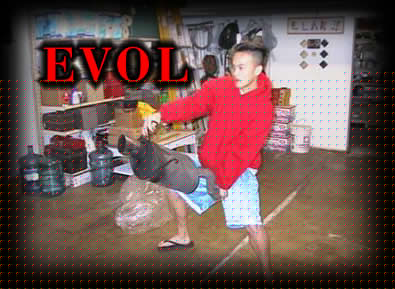 evolbanner.jpg (30110 bytes)