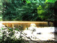 WaterfFlood.jpg (45396 bytes)