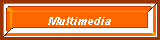 Multimedia