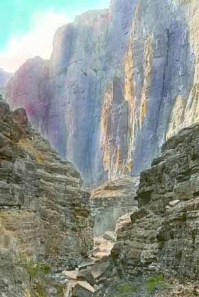 GRCA 31878 TINTED IMAGE. HAVASU CANYON  BEAVER CANYON.  ROW 23 ON AN F.H. MAUDE, LOS ANGELES, CAL. LABEL