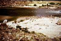 LEFT -  JACKASS CREEK 7.9 (LOWER) CC=40+  MORNING SHADE. 1975. NPS,  BORDEN.