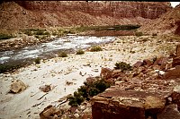 LEFT -  JACKASS CREEK 7.9 (UPPER)  C=40+  MORNING SHADE. 1975. NPS,  BORDEN.<br>