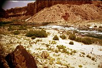 RIGHT -  BADGER CREEK 7.9 (UPPER) CC=40. INCREASING PLANT ENCROACHMENT. 1975. NPS,  BORDEN.