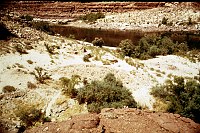 LEFT - 19 MILE. (LOWER)  CC=20. INFLUENCE ON VEGETATION. 1975. NPS,  BORDEN.