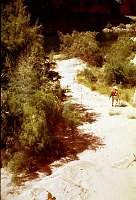 RIGHT - 29 MILE. CC=10. MARGINAL, 1975. NPS,  BORDEN.