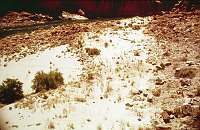 RIGHT - 30 MILE 30.3 (LOWER) CC=40. LARGE STABLE BEACH. 1975. NPS,  BORDEN.