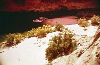 LEFT - NAUTILOID CANYON 34.7 (UPPER) C=40  POPULAR STOP.1975. NPS,  BORDEN.