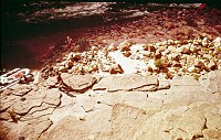 LEFT - 36 MILE RAPIDS. CC=10. LEDGE CAMPSITE. 1975. NPS,  BORDEN.