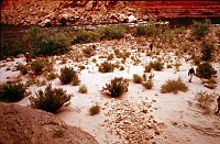 LEFT - TATAHATSO WASH.37.3  CC=10. MARGINAL. 1975. NPS,  BORDEN.