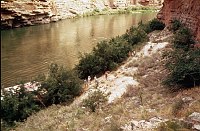 LEFT - 38.9 CC=5. REJECTED: TAKEN OVER BY VEGETATION. 1975. NPS,  BORDEN.