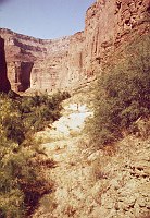 RIGHT - 40.3 MILE. (LOWER) CC=5. OVERCOME BY VEGETATION. 1975. NPS,  BORDEN.