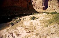 RIGHT - BUCK FARM CANYON 40.9 CC=40. SERIOUS PLUCHEA INVASION. 1975. NPS,  BORDEN.