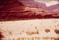RIGHT - UPPER TANNER RAPIDS 68.0  (MIDDLE) CC=40+ EXPOSED CAMPSITE. 1975. NPS,  BORDEN. 