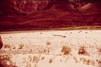 RIGHT - UPPER TANNER RAPIDS 68.0  (UPPER) CC=40+ EXPOSED CAMPSITE. 1975. NPS,  BORDEN. 