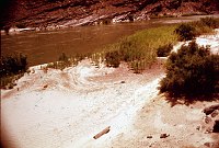 RIGHT - 73.7 MILE (LOWER) CC=15. MARGINAL -   PLANT ENCROACHMENT. 1975. NPS,  BORDEN. 