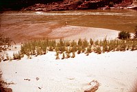 RIGHT - 73.7 MILE (UPPER) CC=15. MARGINAL -   PLANT ENCROACHMENT.- 1975. NPS,  BORDEN. 