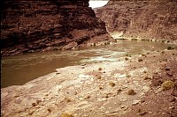 RIGHT - 73.9 MILE (LOWER) CC=40 LEDGES. PLANT ENCROACHMENT NEARBY. 1975. NPS,  BORDEN. 