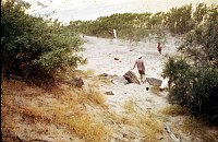 LEFT - 74.3 MILE (LOWER) CC=15. PLANT ENCROACHMENT. MORNING SHADE. 1975. NPS,  BORDEN. 