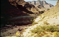 RIGHT - 74.3 MILE (LOWER) CC=30 MORNING SHADE. FIRST RECORDING OF CAMEL THORN. 1975. NPS,  BORDEN. 