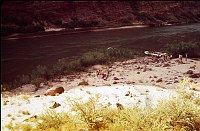 RIGHT - 74.3 MILE (MIDDLE) CC=30 MORNING SHADE. FIRST RECORDING OF CAMEL THORN 1975. NPS,  BORDEN. 