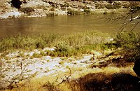 LEFT - 74.9 MILE (UPPER) REJECTED - INVASION BY CAMELTHORN. 1975. NPS,  BORDEN. 