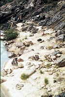RIGHT - GEM. CC=15. MARGINAL. 1975. NPS, BORDEN.<br>  
