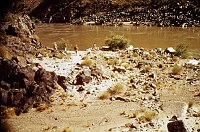 RIGHT - 105.5 MILE. CC=10. MARGINAL. 1975. NPS, BORDEN.<br>