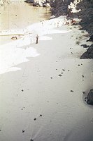 RIGHT - BASS RAPIDS. CC=40. 1975. NPS, BORDEN.<br>  