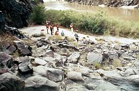 RIGHT - BASS CROSSING. CC=10. ENCROACHMENT BY COYOTE WILLOW. 1975. NPS, BORDEN.<br>