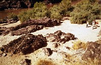RIGHT - 108.3 MILE (LOWER) CC=40. HEAVILY USED. TAMARISK. EROSION ALONG PATHWAYS. 1975. NPS, BORDEN.<br>