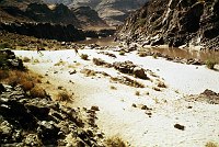 RIGHT - 108.3 MILE (UPPER) CC=40. HEAVILY USED. TAMARISK. EROSION ALONG PATHWAYS. 1975. NPS, BORDEN.<br>