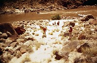 RIGHT - 115.5 MILE. CC=15. MARGINAL. 1975. NPS, BORDEN.<br>