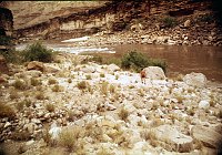 LEFT - APACHE TERRACE (LOWER) CC=40. MINIMAL USAGE. 1975. NPS, BORDEN.<br>