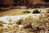RIGHT - 119 MILE. CC=40. LARGE RECREATIONAL AREA. 1975. NPS, BORDEN.<br>