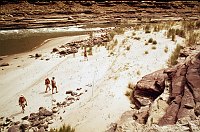 LEFT - 121.7 MILE. CC=40. 1975. NPS, BORDEN.<br>