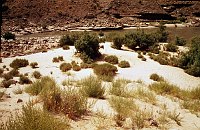 RIGHT - 122 MILE CREEK (UPPER) CC=40. 1975. NPS, BORDEN.<br>