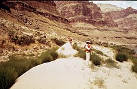 LEFT - 122.4 MILE. (INNER) REJECTED. STEEP DUNE BEACH. RUSSIAN THISTLE. 1975. NPS, BORDEN.<br>