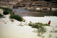 LEFT - 122.4 MILE. (OUTER) REJECTED. STEEP DUNE BEACH. RUSSIAN THISTLE. 1975. NPS, BORDEN.<br>