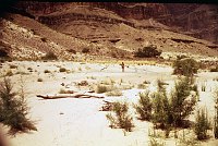 LEFT - UPPER FORSTER CANYON (LOWER) CC=40 BROAD, FLAT BEACH. 1975. NPS, BORDEN.<br>