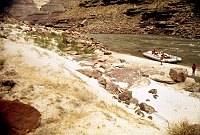 LEFT - 125.2 MILE. CC=40. INVASION BY CAMEL THORN. 1975. NPS, BORDEN.<br>