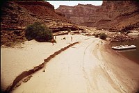 LEFT - 125.4 MILE. CC=40. EROSION AT 24,000 CFS MARK WITHIN ONE YEAR. 1975. NPS, BORDEN.<br>
