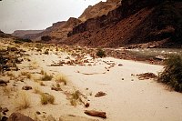 LEFT - BONITA CREEK. CC=40. 1975. NPS, BORDEN.<br>
