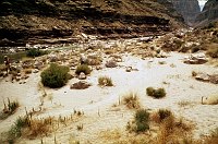 LEFT - FISHTAIL RAPIDS (LOWER) CC=40. HEAVY USE. DEGRADING CAMPSITE. 1975. NPS, BORDEN.<br>