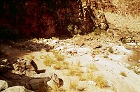 LEFT -  MATKATAMIBA CANYON. CC=10. MARGINAL. LIMITED BEACHES IN THIS SECTION. 1975. NPS, BORDEN.